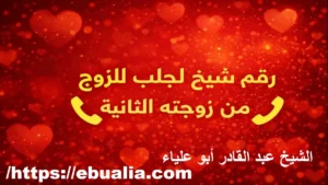 شيخ لجلب الزوج